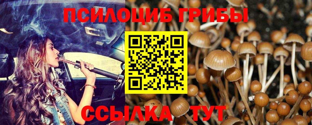 Спасск-Дальний  Псилоцибиновые грибы Psilocybe  Вход с VPN  наркотики  Псилоцибиновые грибы Magic Shrooms 